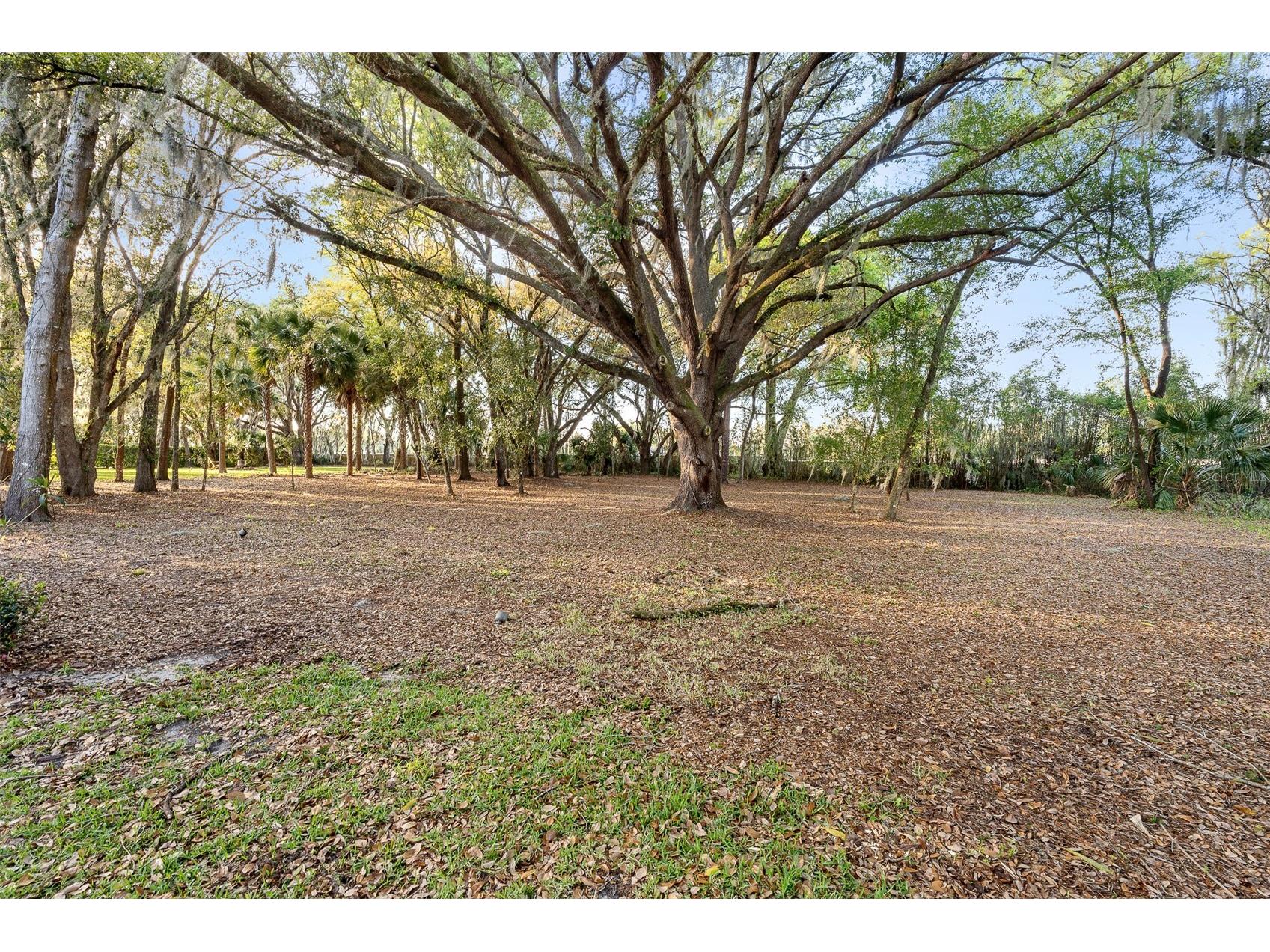 7341 Bella Foresta Place Sanford FL 32771 FC316808 image79