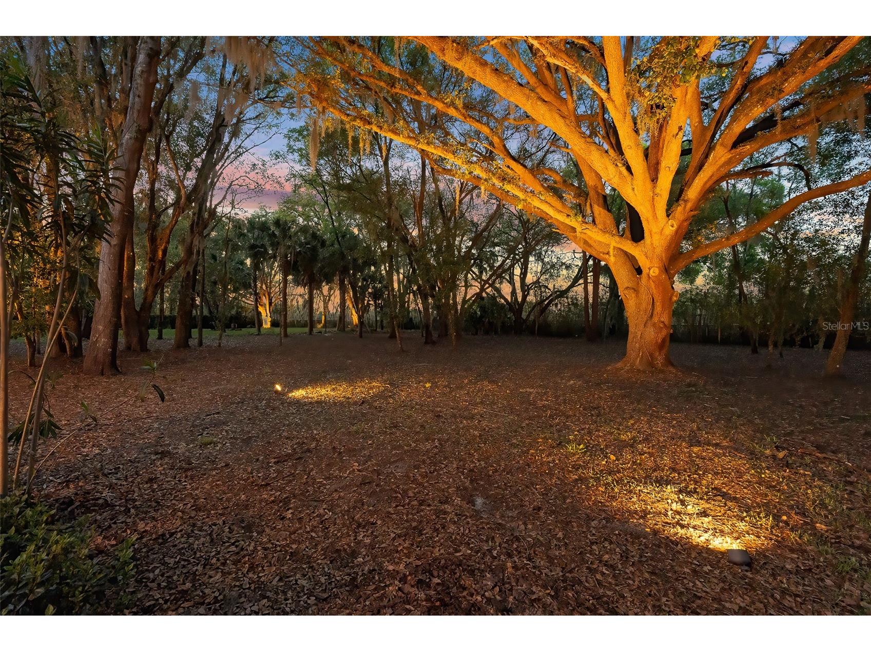 7341 Bella Foresta Place Sanford FL 32771 FC316808 image96