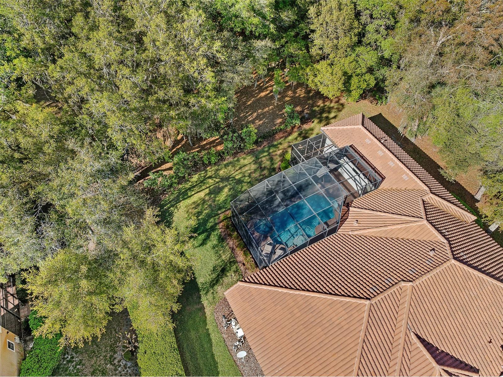 7341 Bella Foresta Place Sanford FL 32771 FC316808 image98