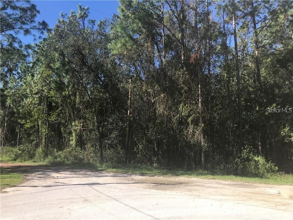 7341 Westpoint Drive Wesley Chapel FL 33544 TB8523807 image2