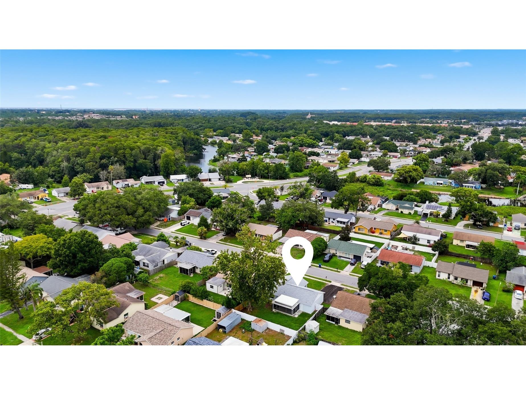 7342 Ivory Terrace New Port Richey FL 34655 TB8531518 image29
