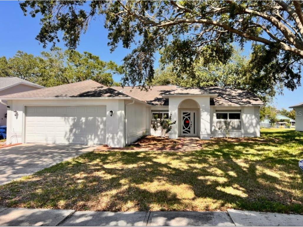 7342 Skyview Avenue New Port Richey FL 34653 O6312170 image1