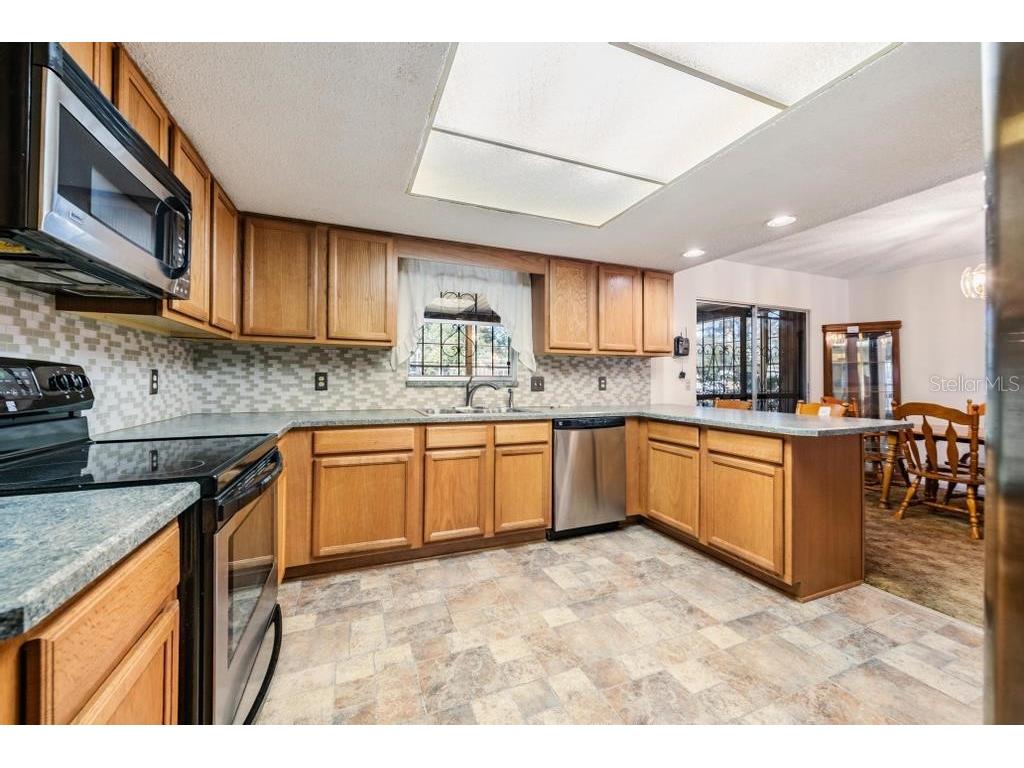 7343 Andre Drive Zephyrhills FL 33541 TB8465686 image11