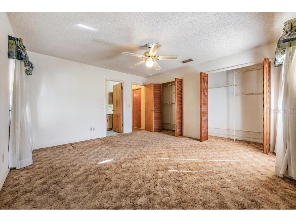 7343 Andre Drive Zephyrhills FL 33541 TB8465686 image15