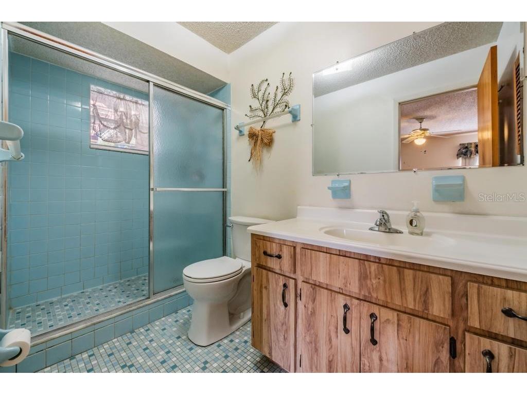 7343 Andre Drive Zephyrhills FL 33541 TB8465686 image16