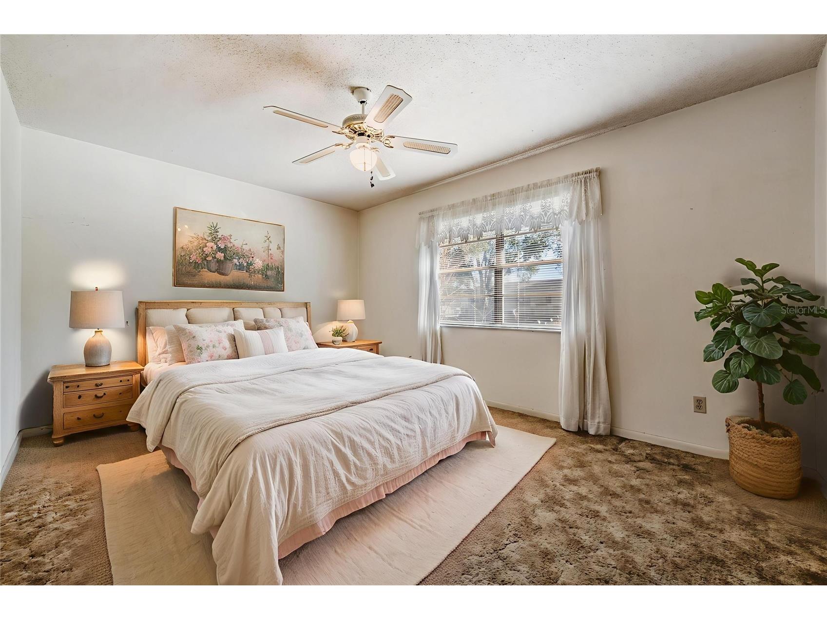 7343 Andre Drive Zephyrhills FL 33541 TB8465686 image19