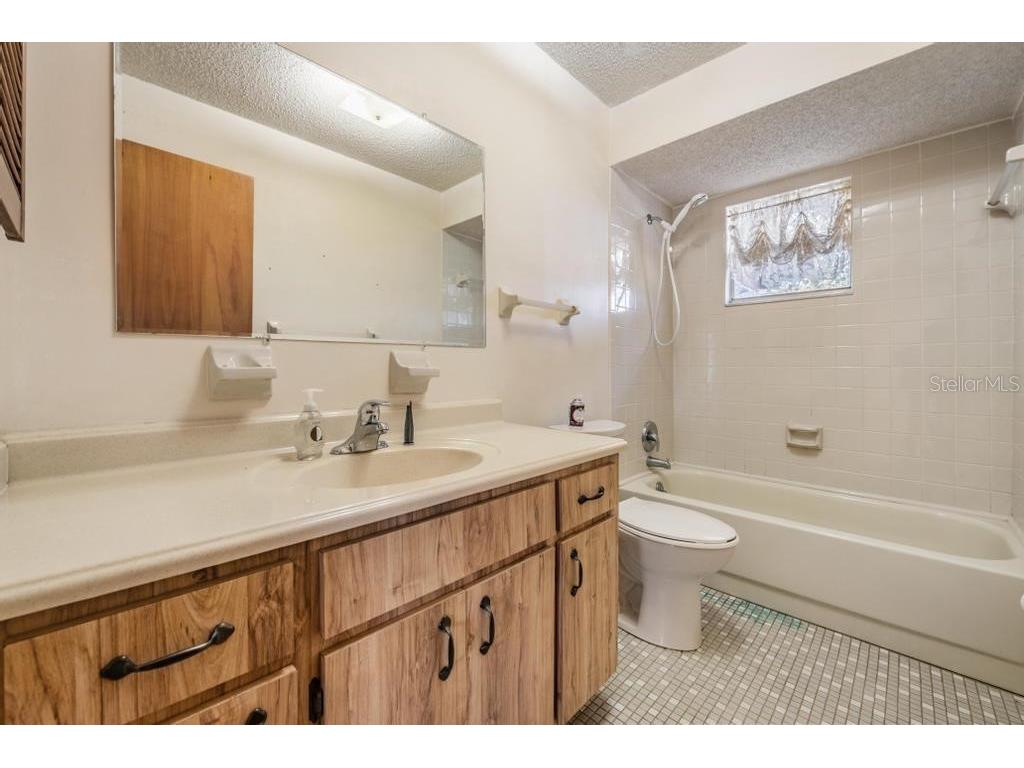 7343 Andre Drive Zephyrhills FL 33541 TB8465686 image21