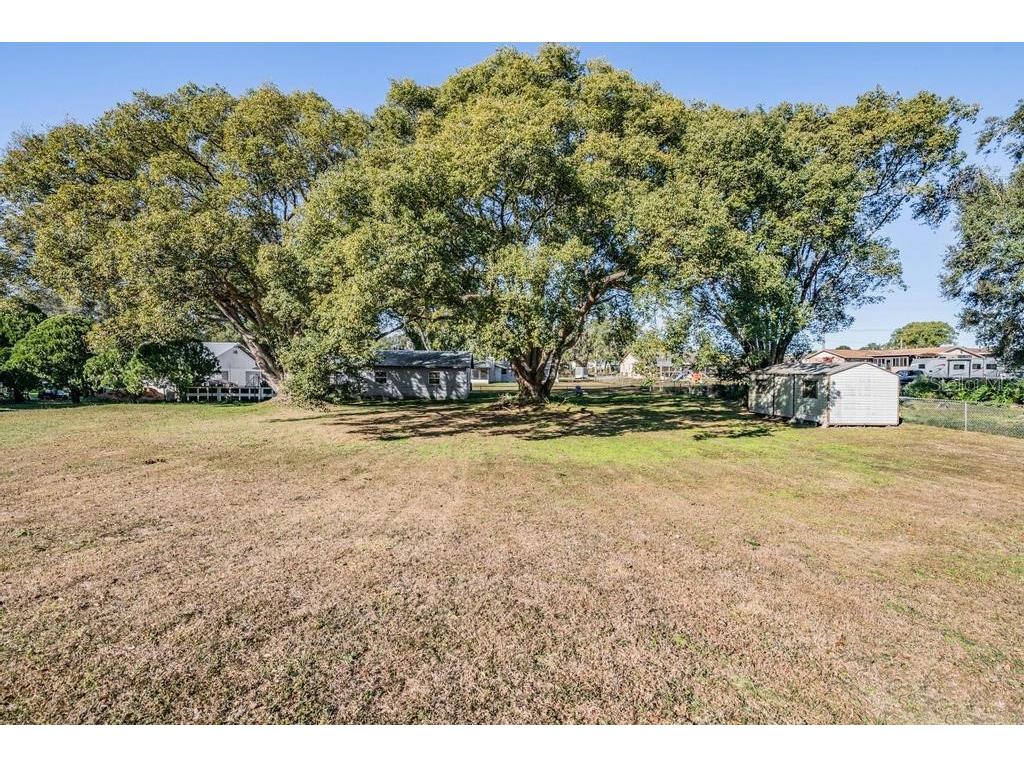 7343 Andre Drive Zephyrhills FL 33541 TB8465686 image25