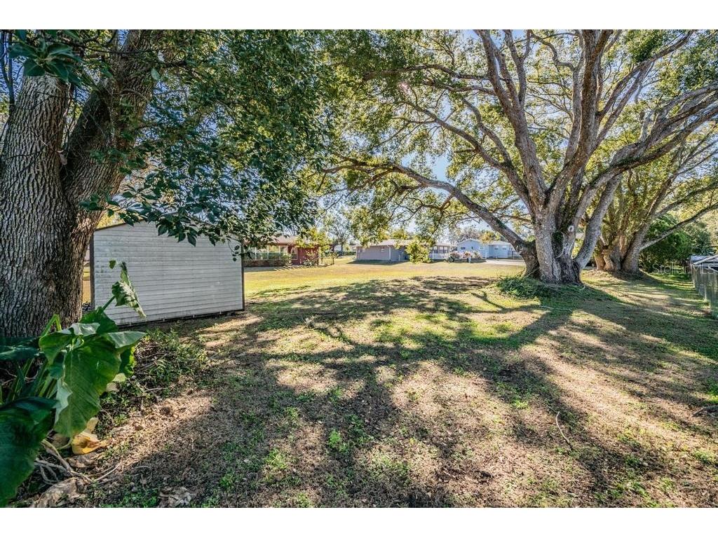 7343 Andre Drive Zephyrhills FL 33541 TB8465686 image27