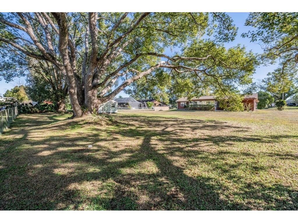 7343 Andre Drive Zephyrhills FL 33541 TB8465686 image28