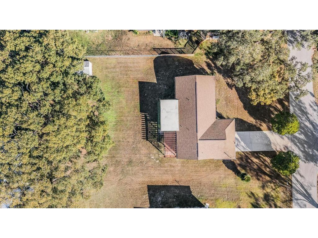 7343 Andre Drive Zephyrhills FL 33541 TB8465686 image29