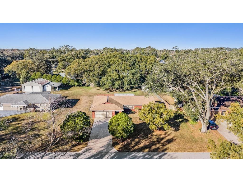 7343 Andre Drive Zephyrhills FL 33541 TB8465686 image30