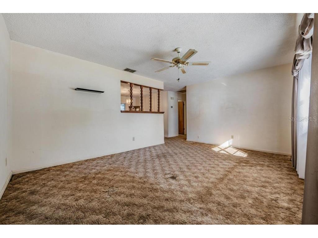 7343 Andre Drive Zephyrhills FL 33541 TB8465686 image6