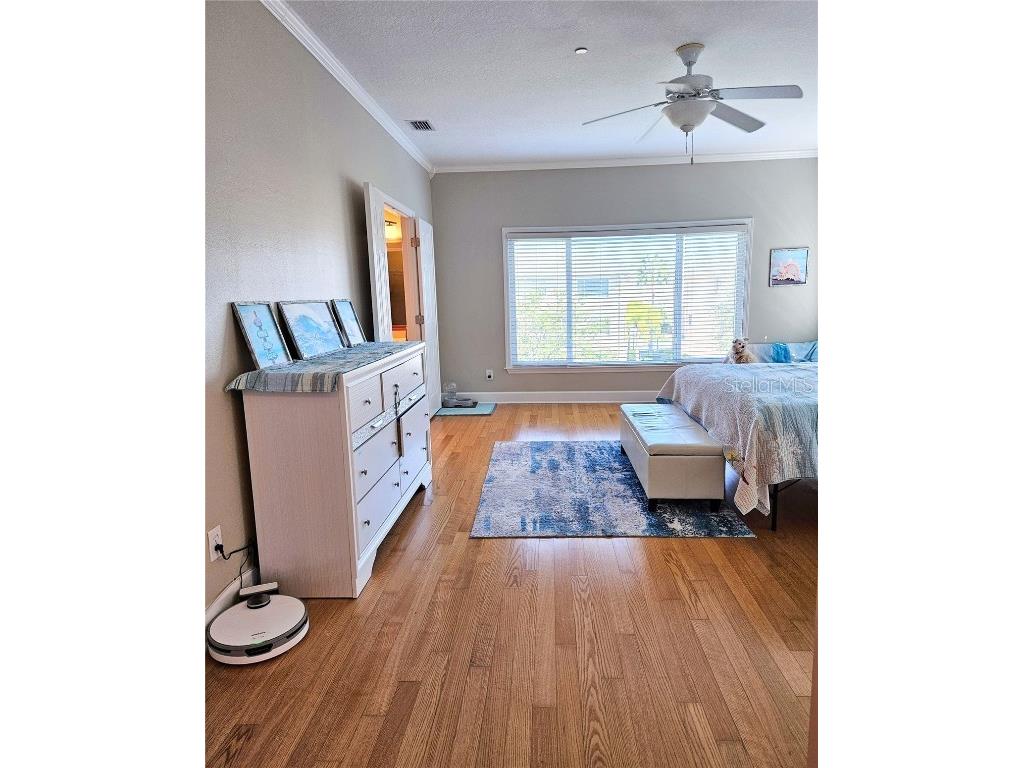 7343 Conch Boulevard Seminole FL 33777 TB8451433 image30