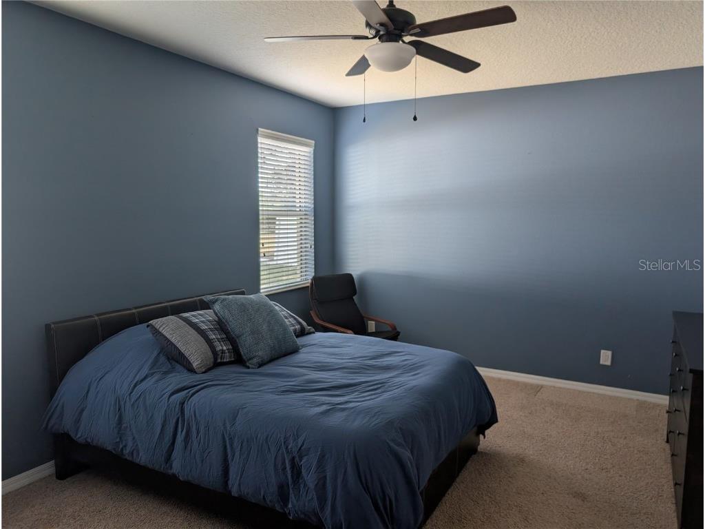 7343 Forest Mere Drive Riverview FL 33578 TB8442279 image15