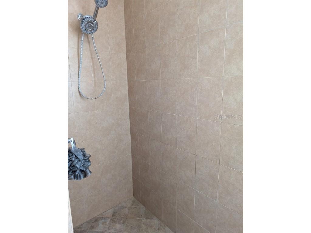 7343 Forest Mere Drive Riverview FL 33578 TB8442279 image17