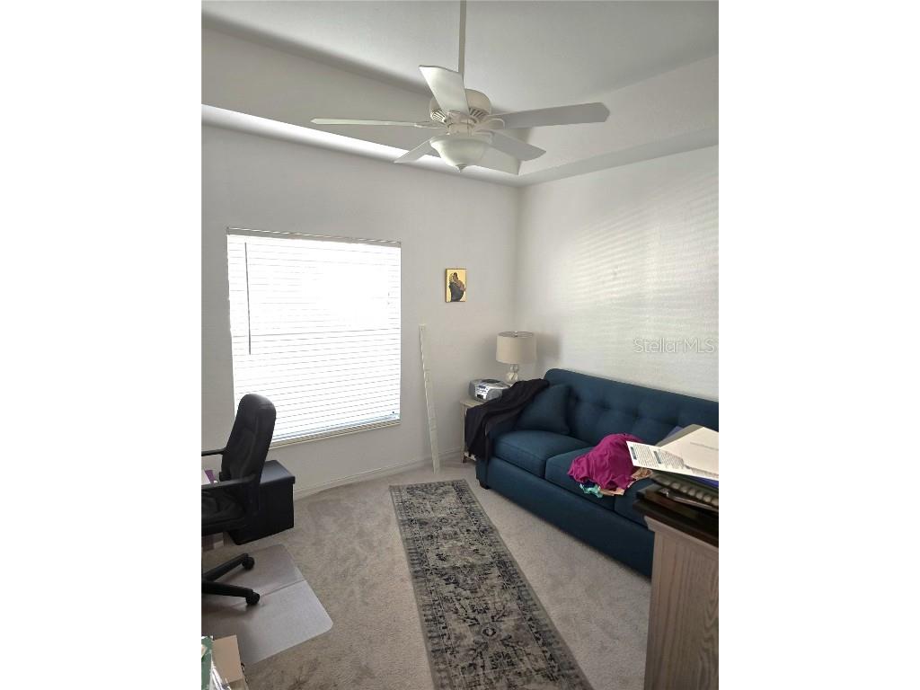 7343 Fountain Palm Circle #7343 Bradenton FL 34203 A4668855 image8