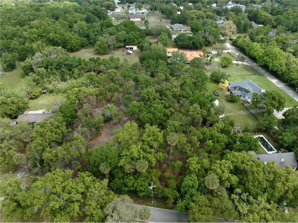 7343 Lake Ola Drive Mount Dora FL 32757 G5096543 image5