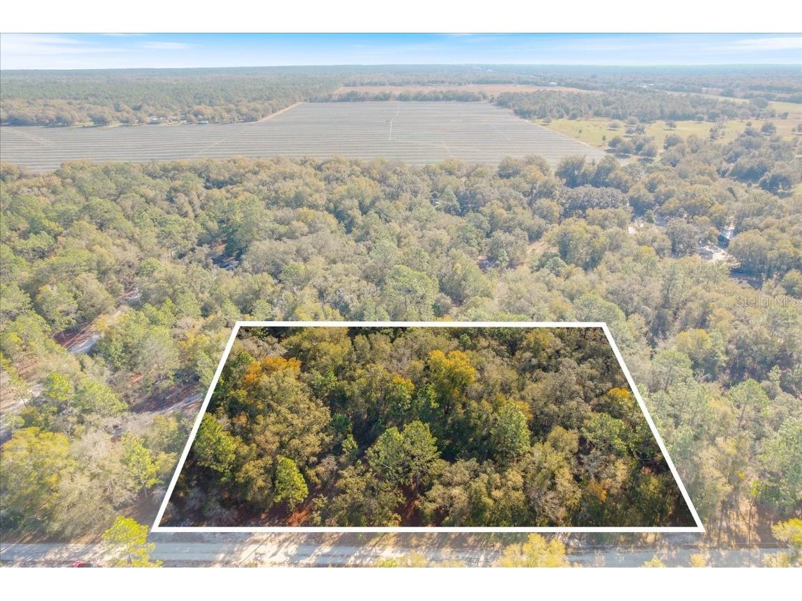 7343 N Nathan Point Crystal River FL 34428 TB8415417 image1