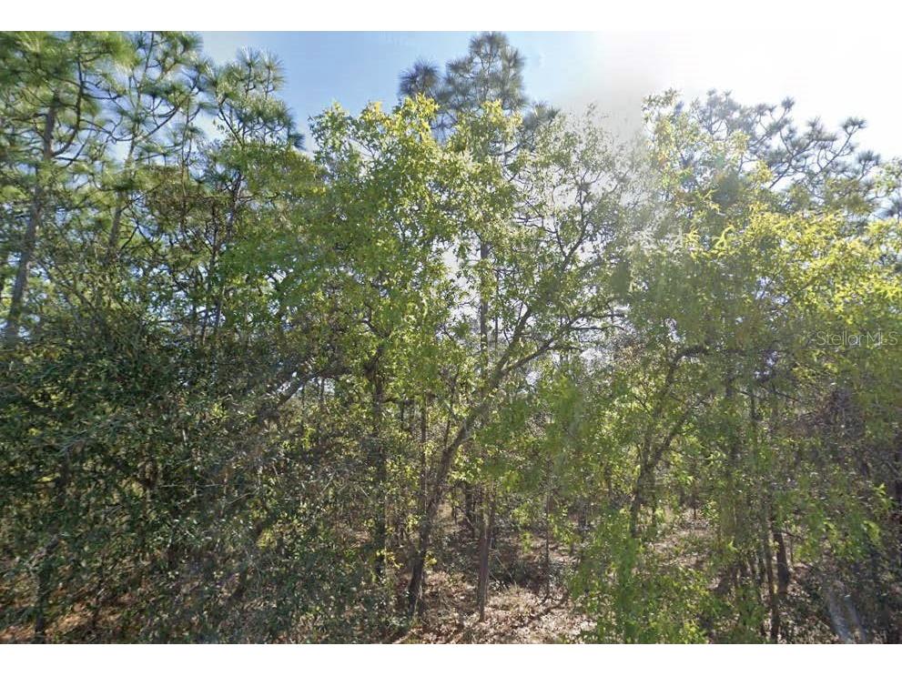 7343 S Ridge Point Homosassa FL 34446 O6272450 image1