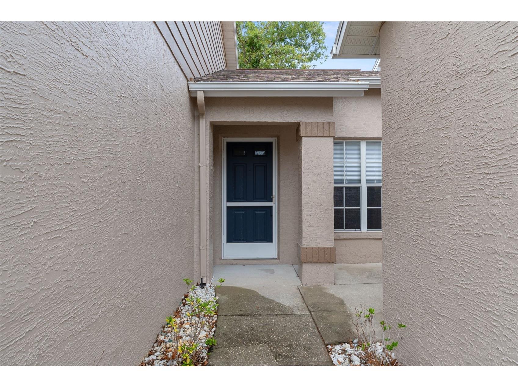 7343 Willow Brook Drive Spring Hill FL 34606 A4696656 image5