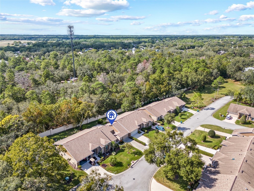 7343 Willow Brook Drive Spring Hill FL 34606 W7879771 image26