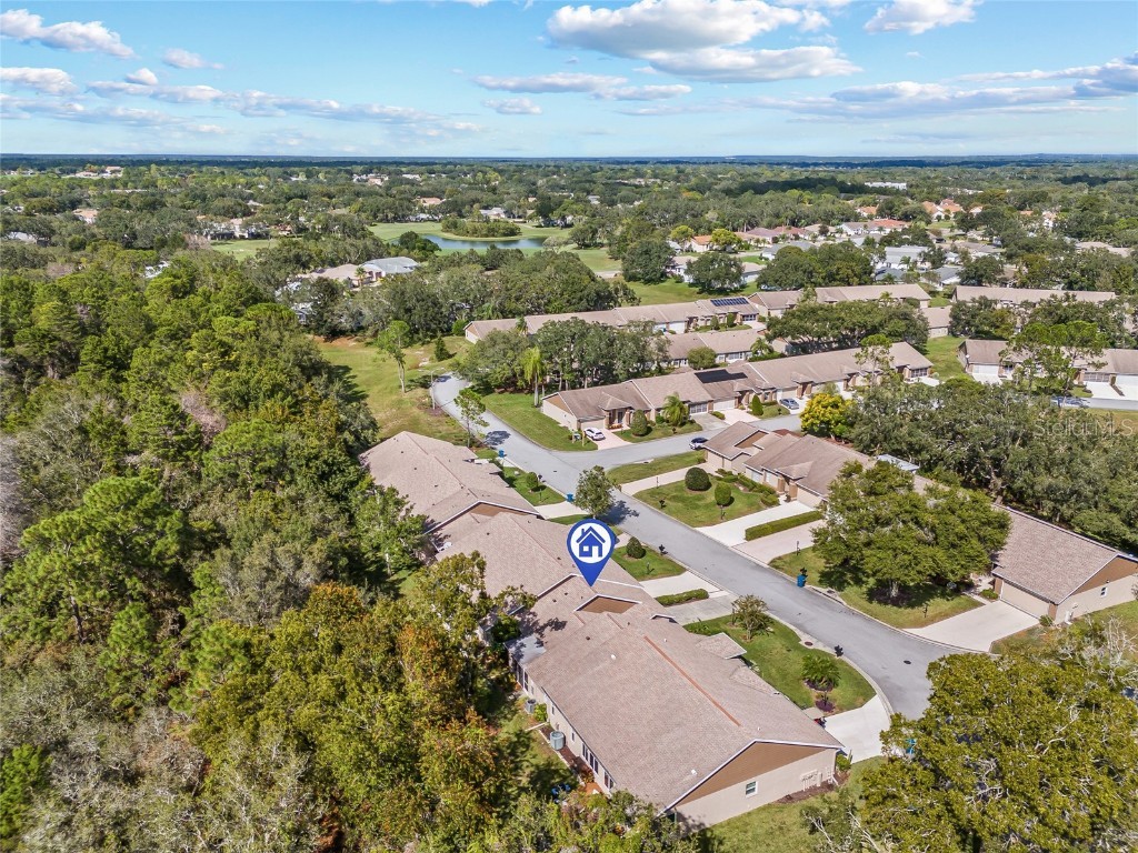 7343 Willow Brook Drive Spring Hill FL 34606 W7879771 image27