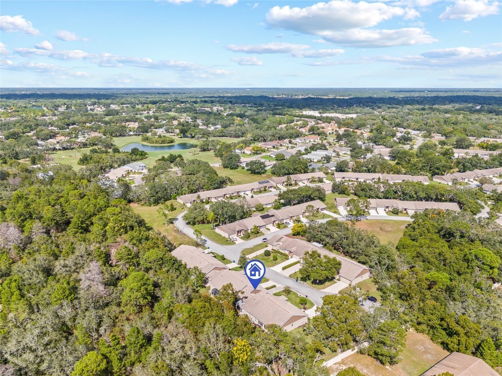 7343 Willow Brook Drive Spring Hill FL 34606 W7879771 image28