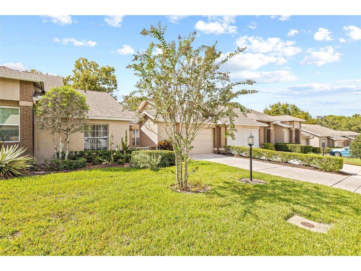 7343 Willow Brook Drive Spring Hill FL 34606 W7879771 image31