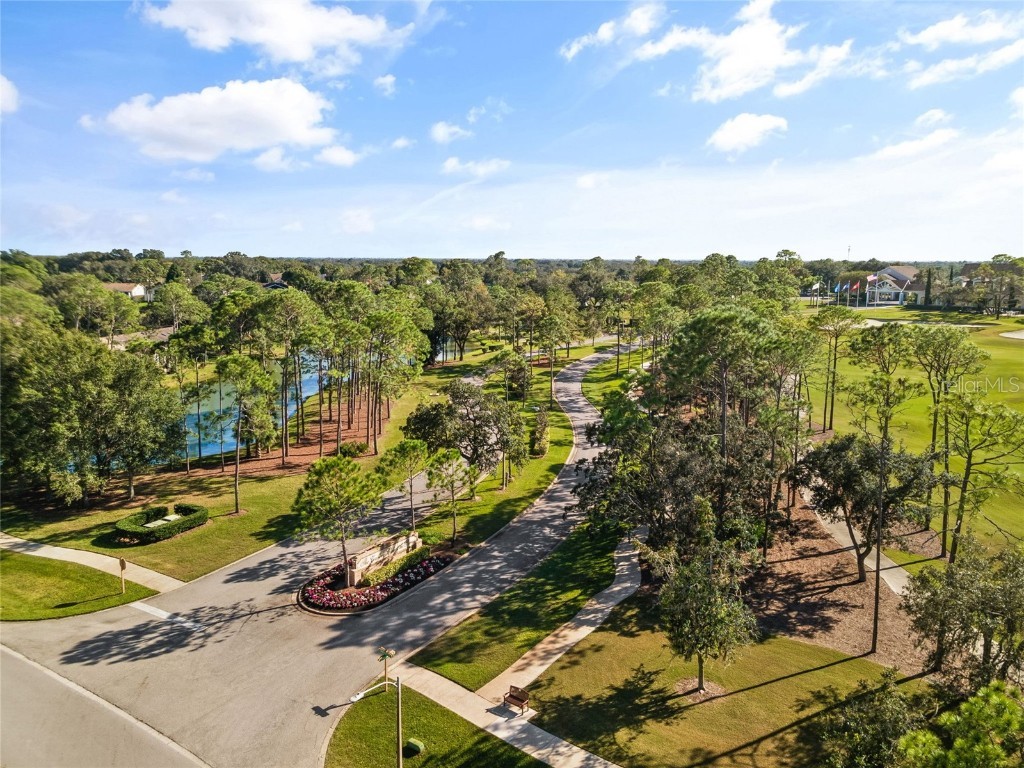 7343 Willow Brook Drive Spring Hill FL 34606 W7879771 image37