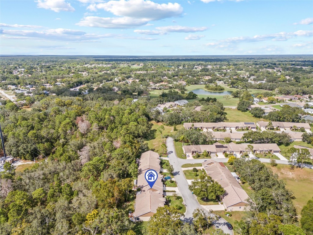 7343 Willow Brook Drive Spring Hill FL 34606 W7879771 image41