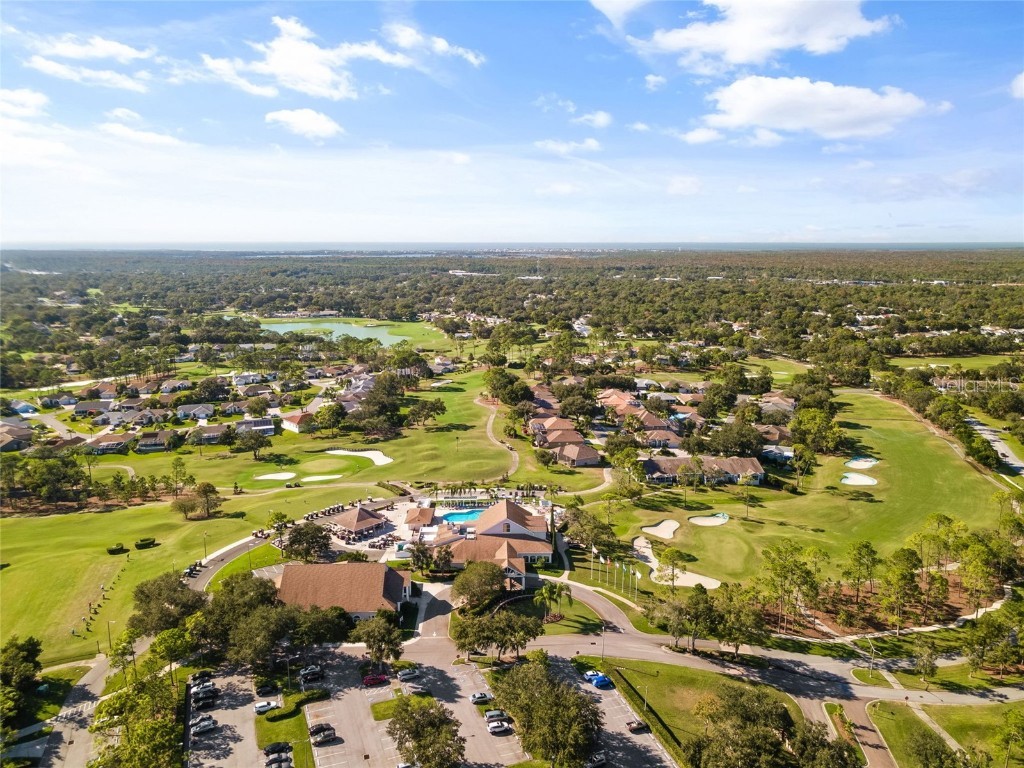 7343 Willow Brook Drive Spring Hill FL 34606 W7879771 image42