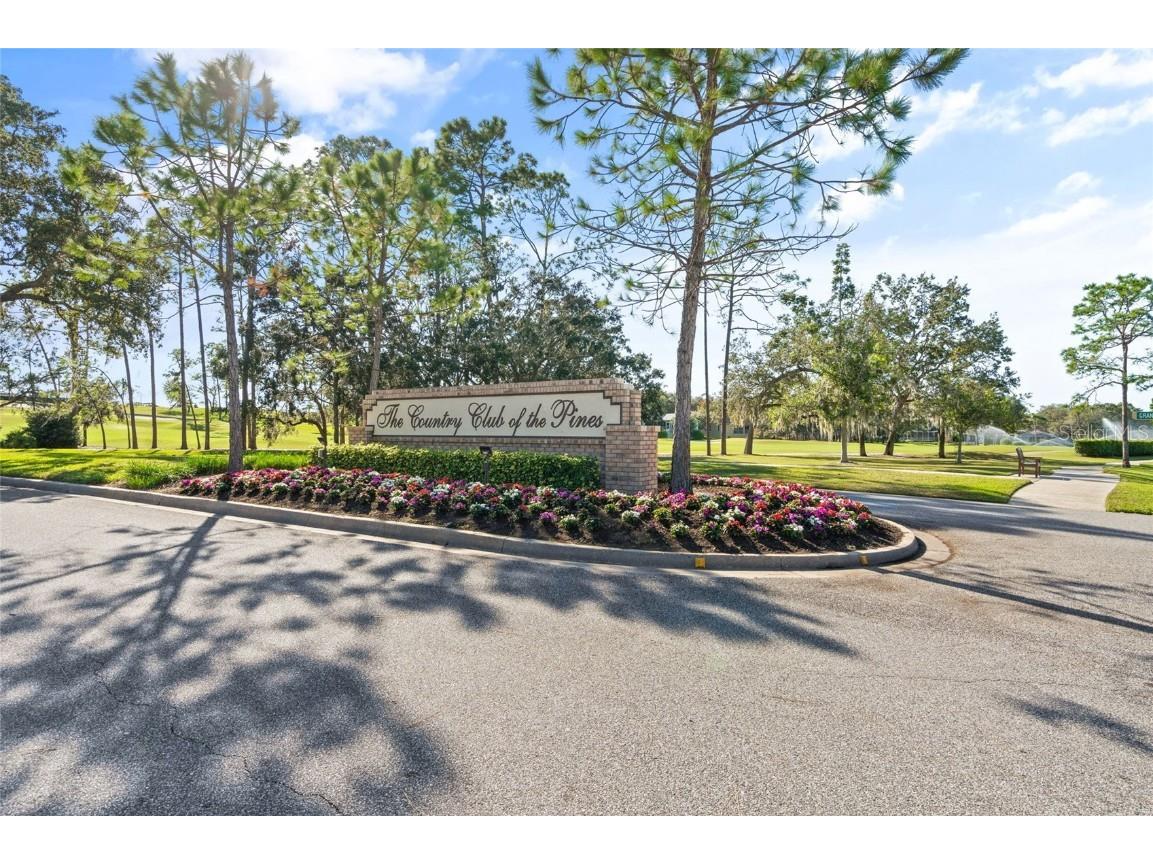 7343 Willow Brook Drive Spring Hill FL 34606 W7879771 image43