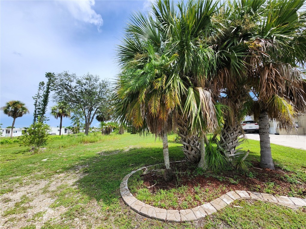 7344 Lares Street Port Charlotte FL 33981 - BUTTERFORD WATERWAY D6143538 image2