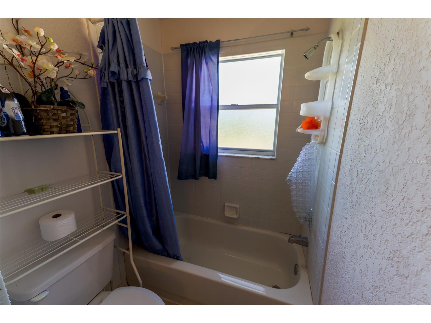 7345 Brightwaters Court New Port Richey FL 34652 TB8518937 image31