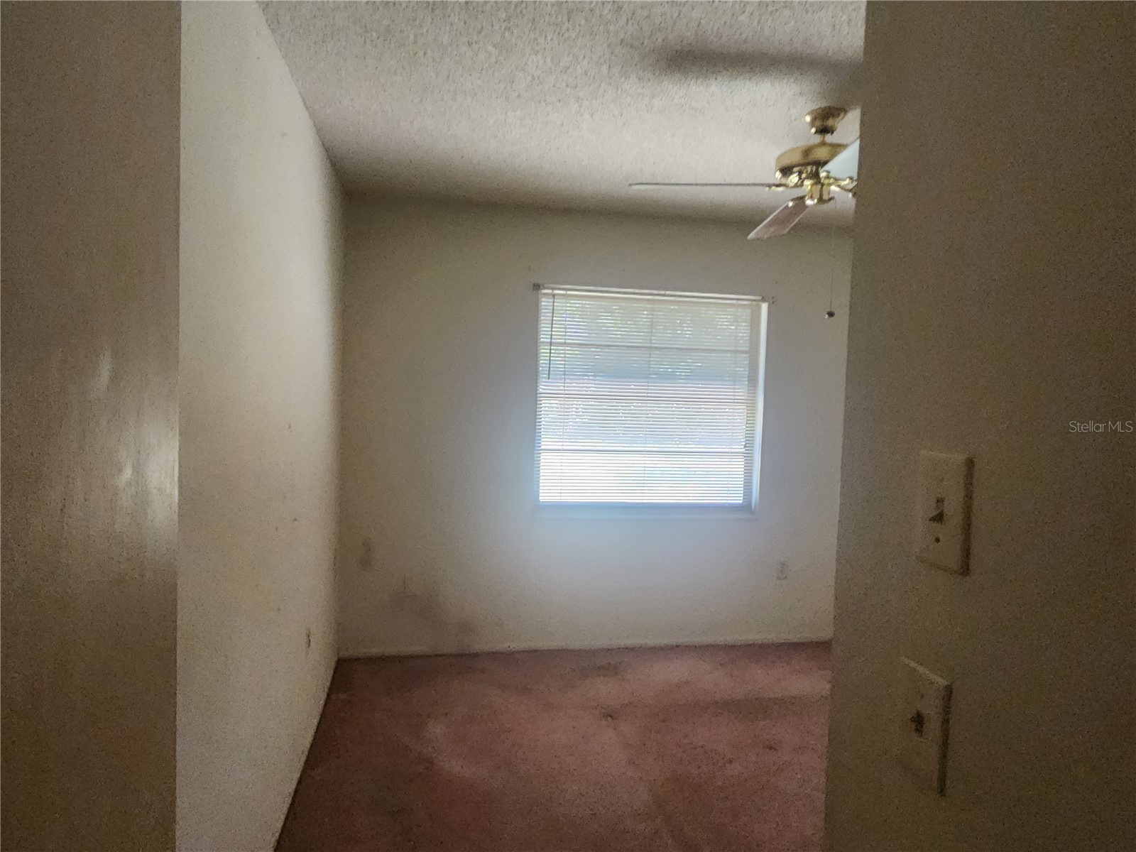 7346 Philatelic Drive Spring Hill FL 34606 TB8516440 image16