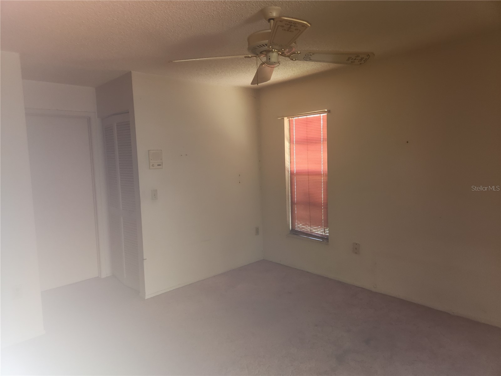 7346 Philatelic Drive Spring Hill FL 34606 TB8516440 image5