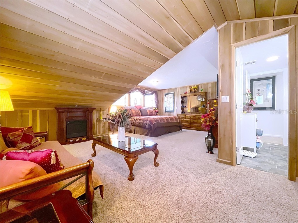 7347 Packingham Drive Webster FL 33597 TB8432593 image57