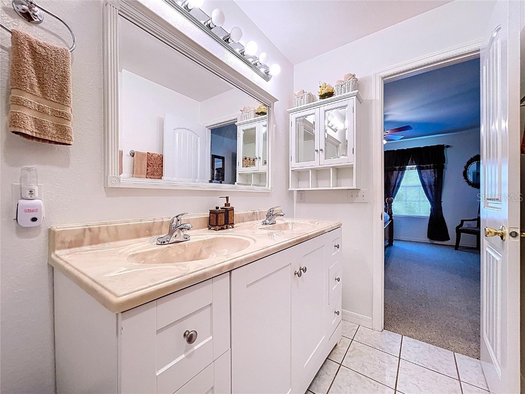 7347 Packingham Drive Webster FL 33597 TB8432593 image79