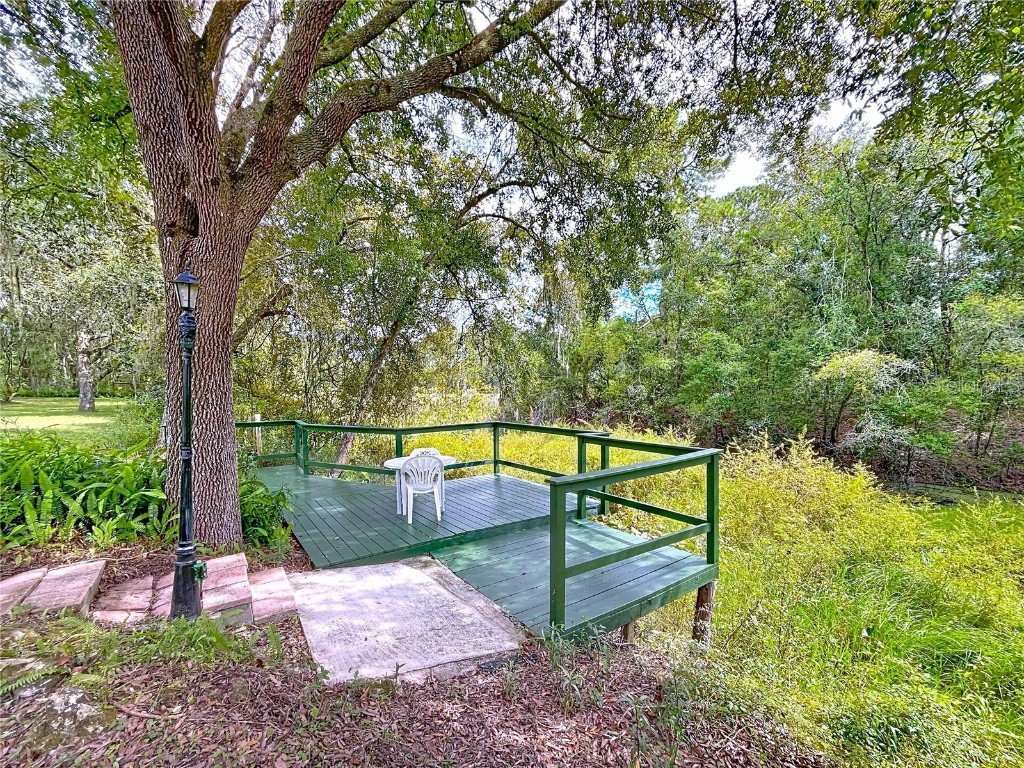 7347 Packingham Drive Webster FL 33597 TB8432593 image88