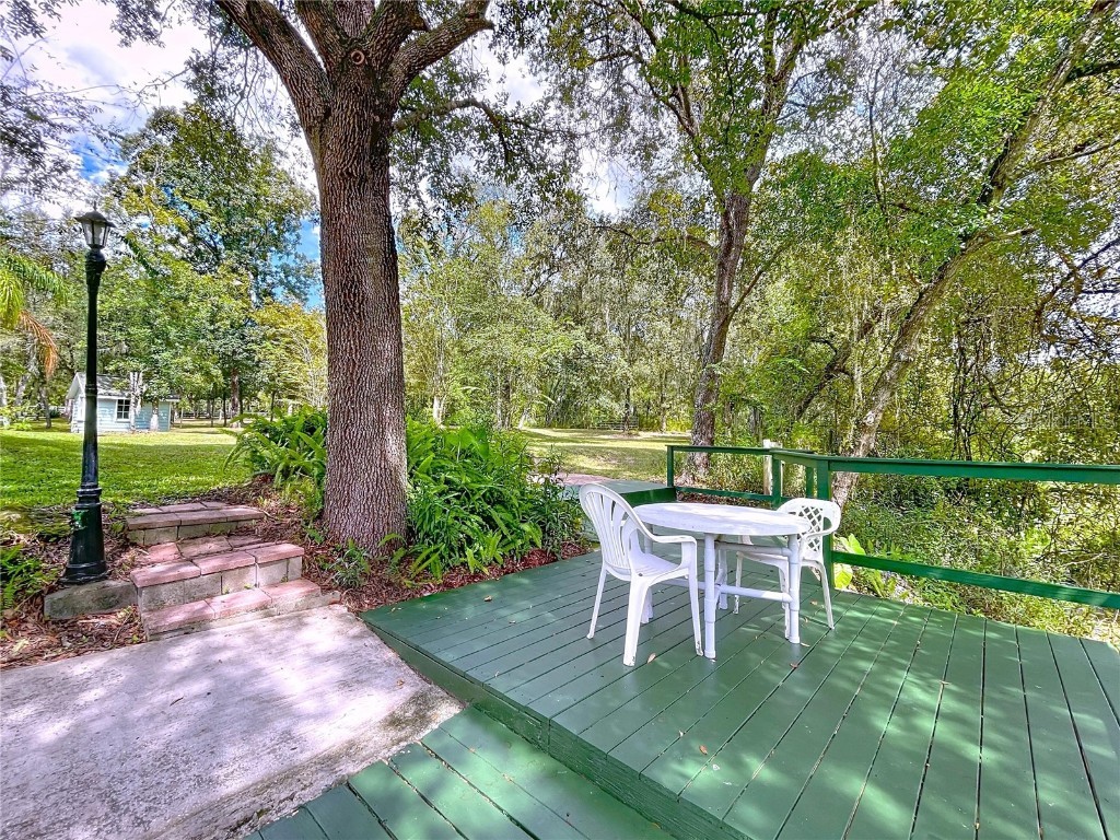 7347 Packingham Drive Webster FL 33597 TB8432593 image89