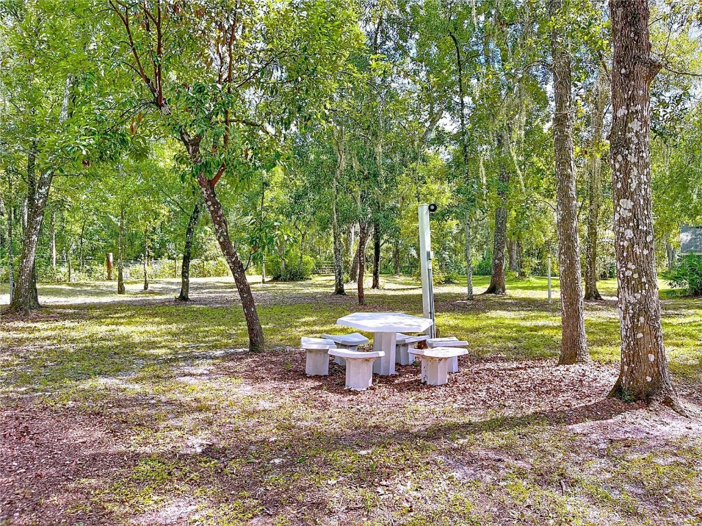 7347 Packingham Drive Webster FL 33597 TB8432593 image92