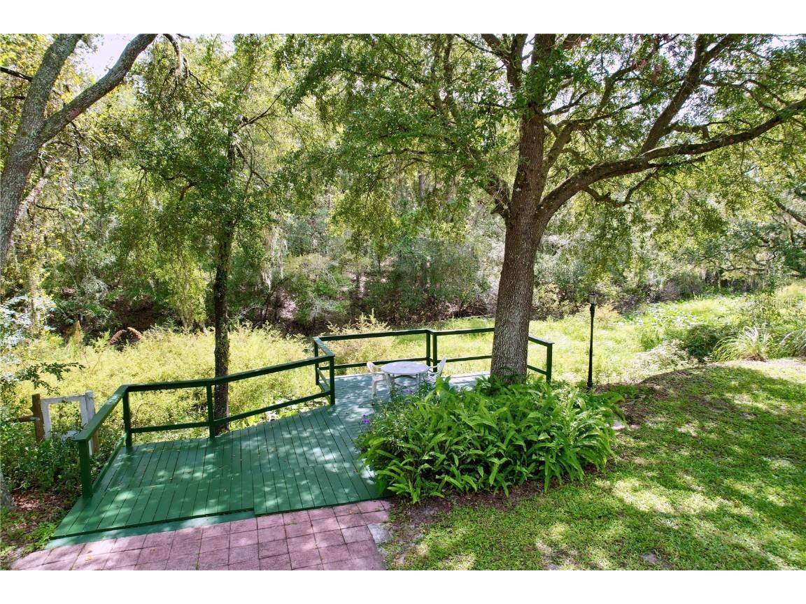 7347 Packingham Drive Webster FL 33597 TB8432593 image93