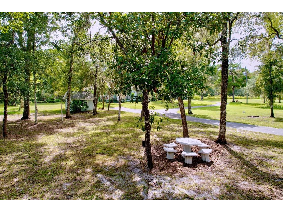 7347 Packingham Drive Webster FL 33597 TB8432593 image94