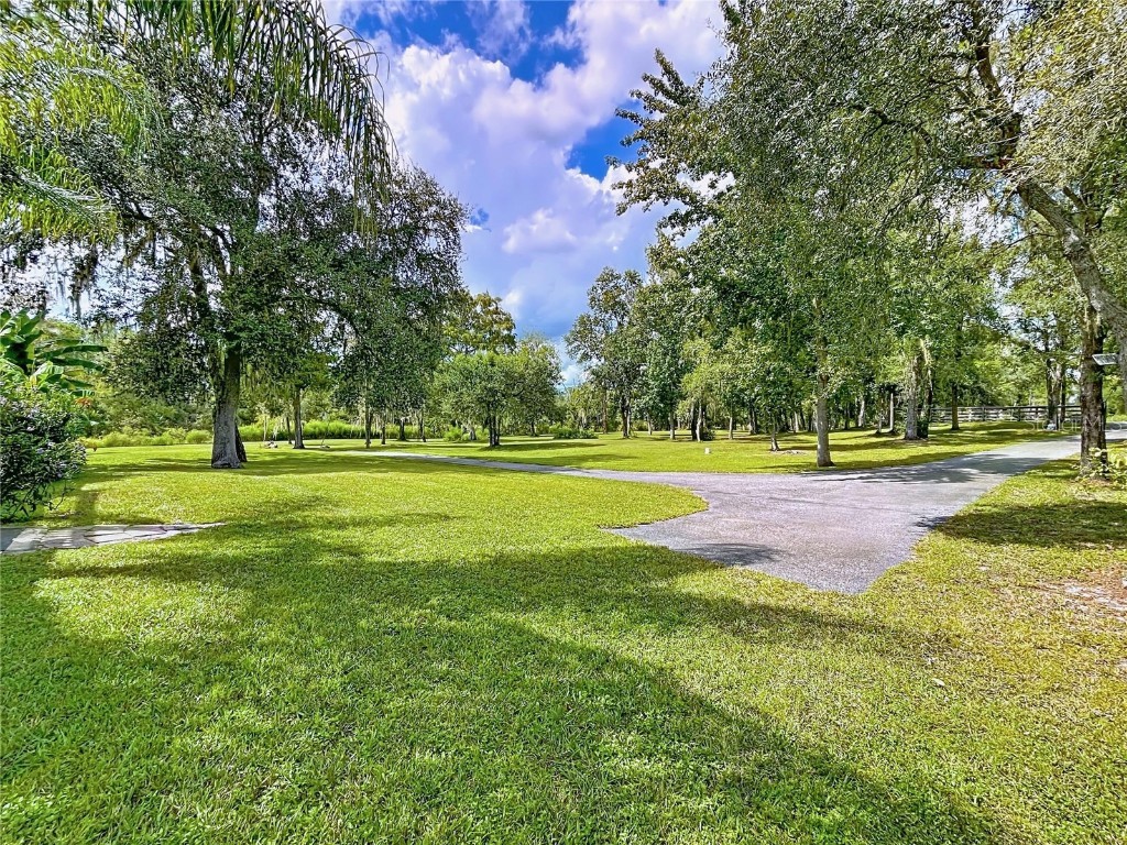 7347 Packingham Drive Webster FL 33597 TB8432593 image95