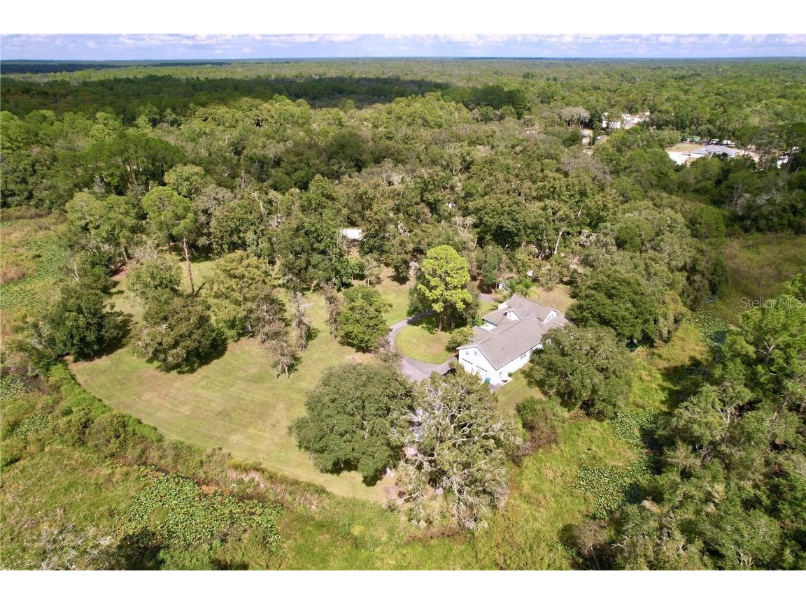 7347 Packingham Drive Webster FL 33597 TB8432593 image98