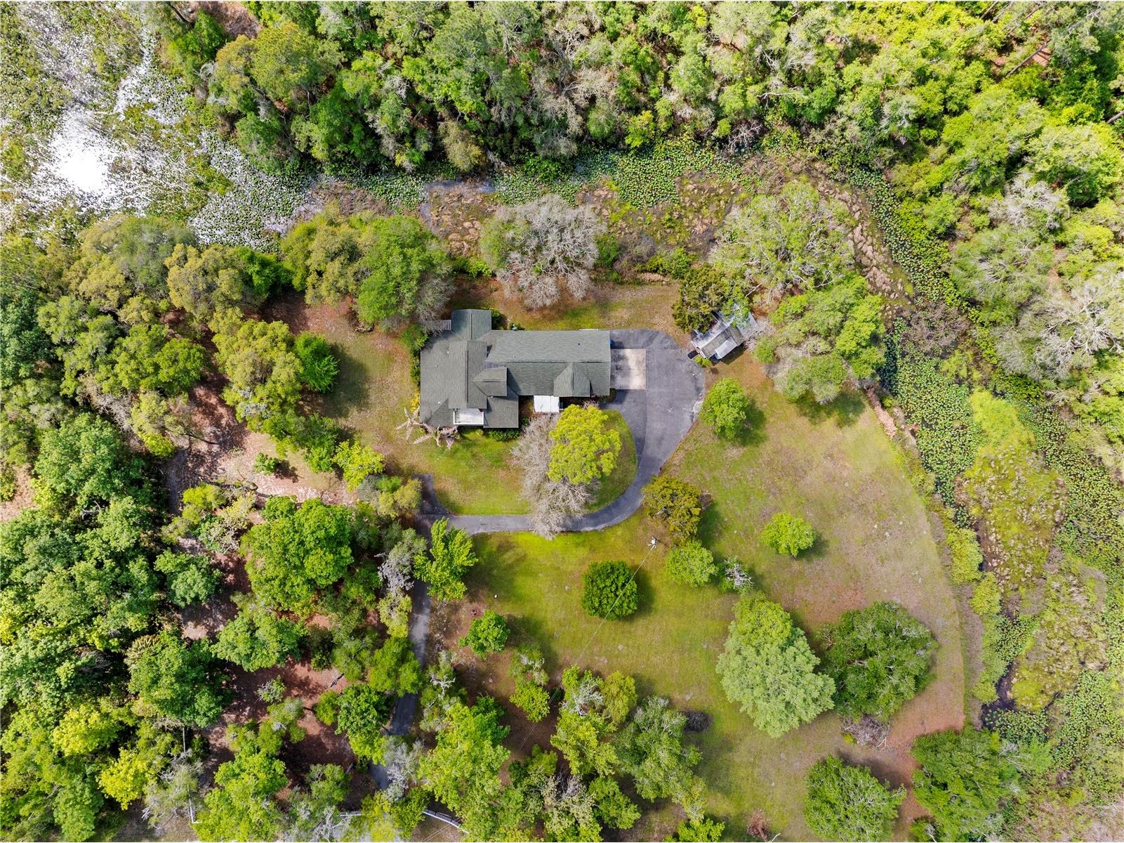 7347 Packingham Drive Webster FL 33597 TB8496860 image5
