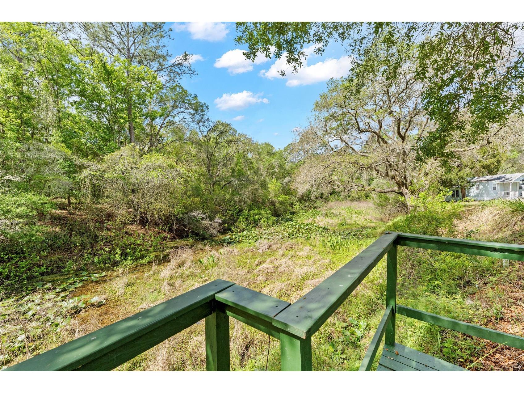 7347 Packingham Drive Webster FL 33597 TB8496860 image62