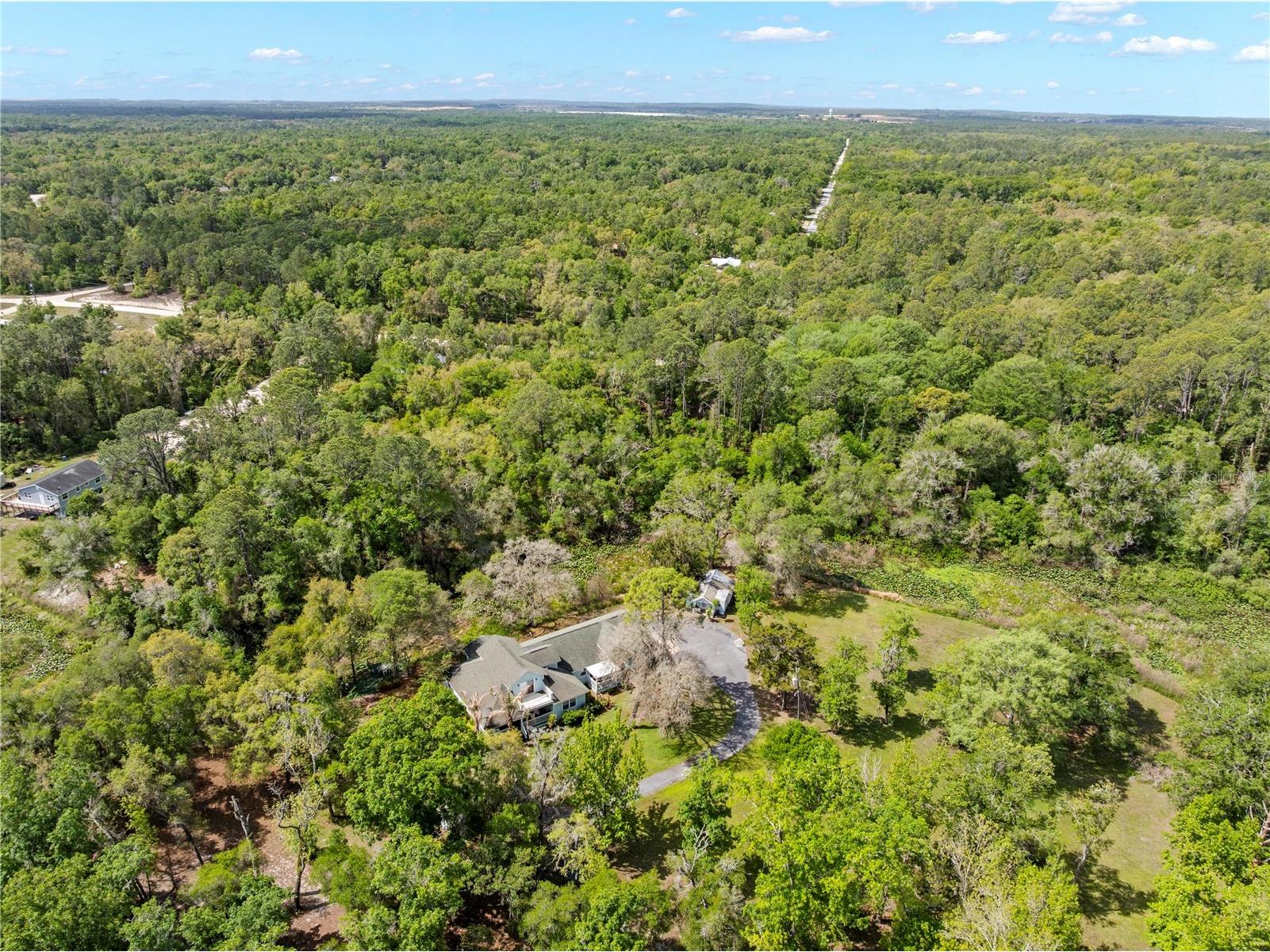 7347 Packingham Drive Webster FL 33597 TB8496860 image68