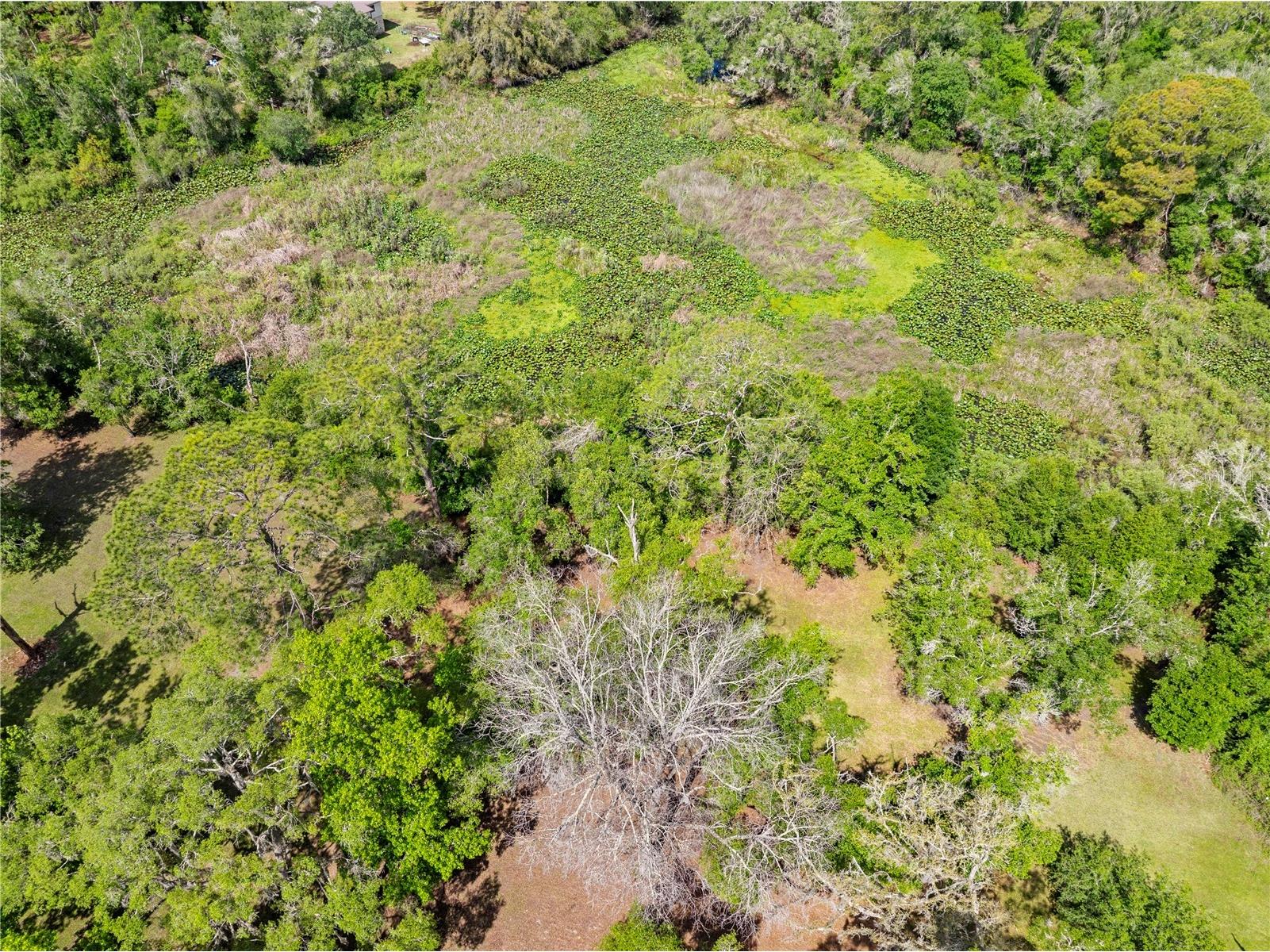 7347 Packingham Drive Webster FL 33597 TB8496860 image75